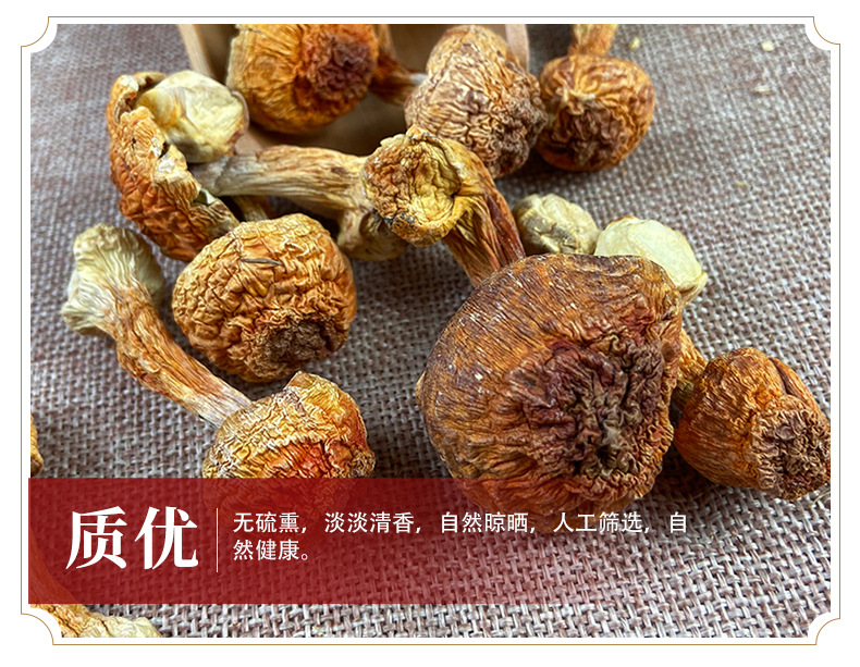 Dried Agaricus Blazei Mushroom 500g Yunnan Sun Dried Culinary Fungi for Soups and Stir Fry quality and texture