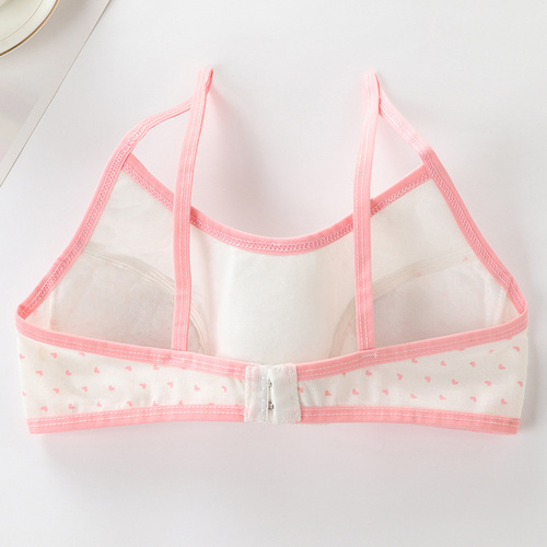 Lace Bra Pure Cotton Girl Student Bras for Girls in the Puberty Stage with No Steel Wire 