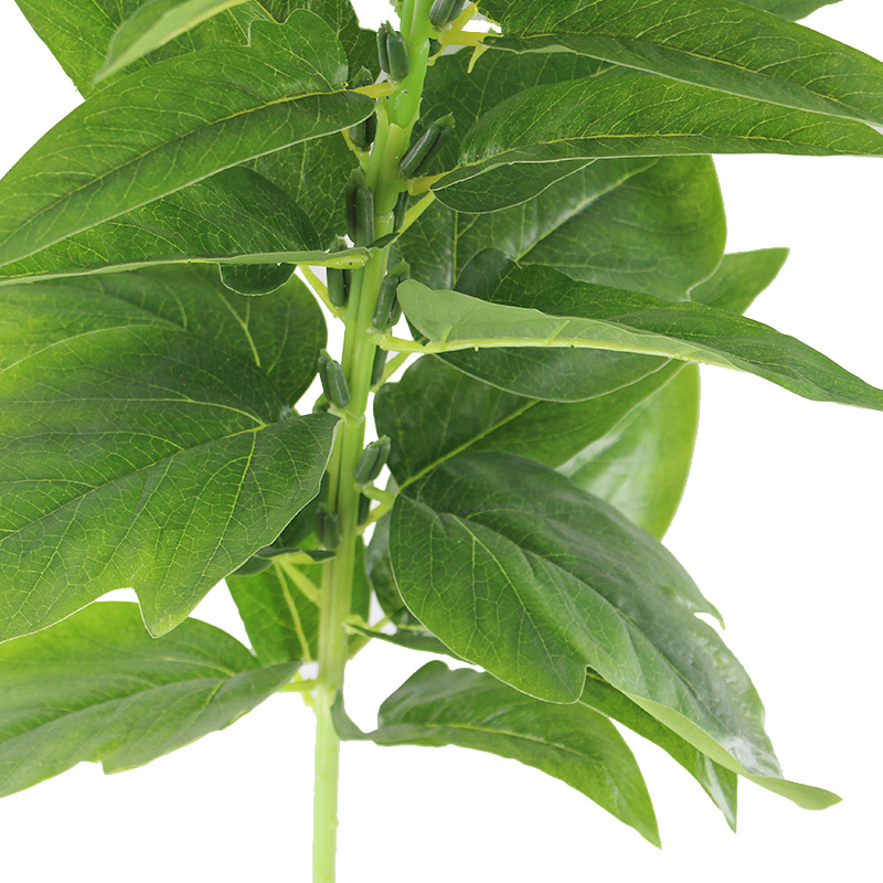 XRB-169 春色1 (4).jpg