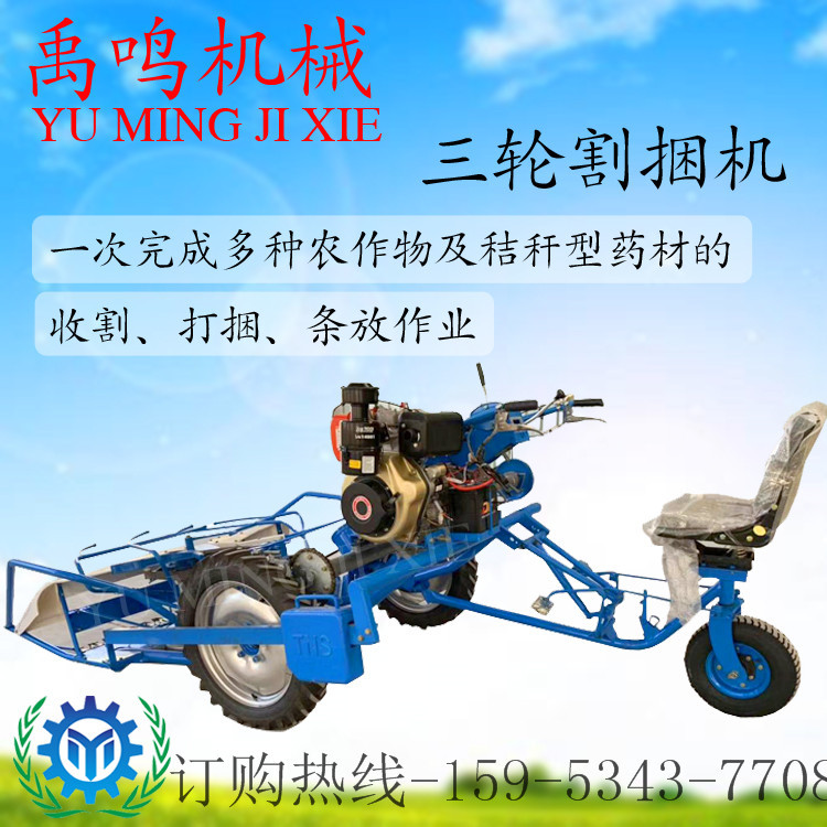 芦苇割捆机 三轮坐式全自动燕麦草收割打捆机小麦打捆机 割捆机