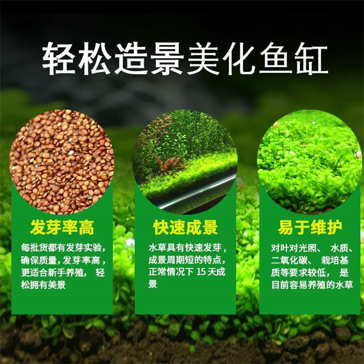 微信图片_202008081456583