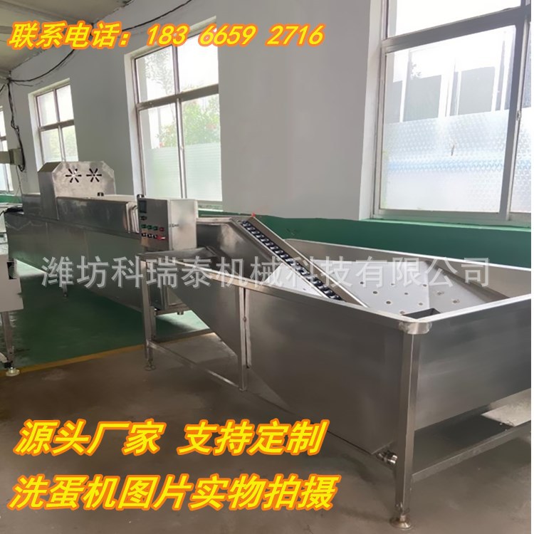 鸡蛋鸭蛋自动化清洗设备科瑞泰厂家生产中小型洗蛋机野鸡蛋冲洗机