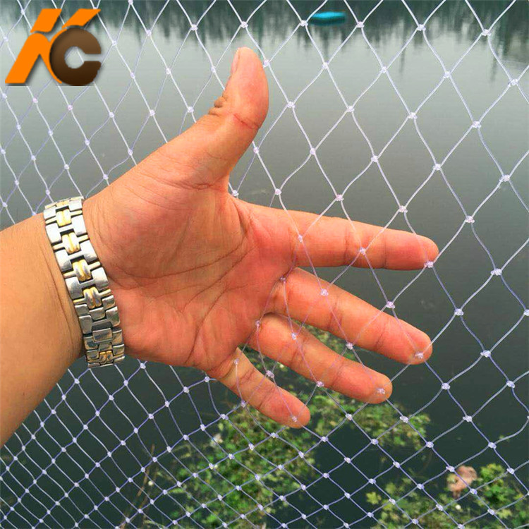 聚乙烯单丝尼龙农业果园葡萄园防鸟网