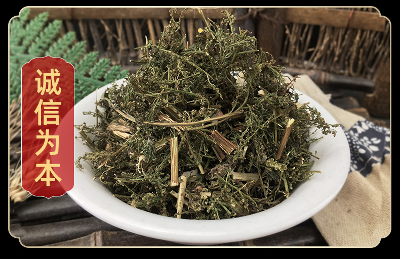 Dried Sweet Wormwood Herb Qing Hao 500g Fresh Batch Artemisia annua Leaves Traditional Herbal Tea Ingredient in use