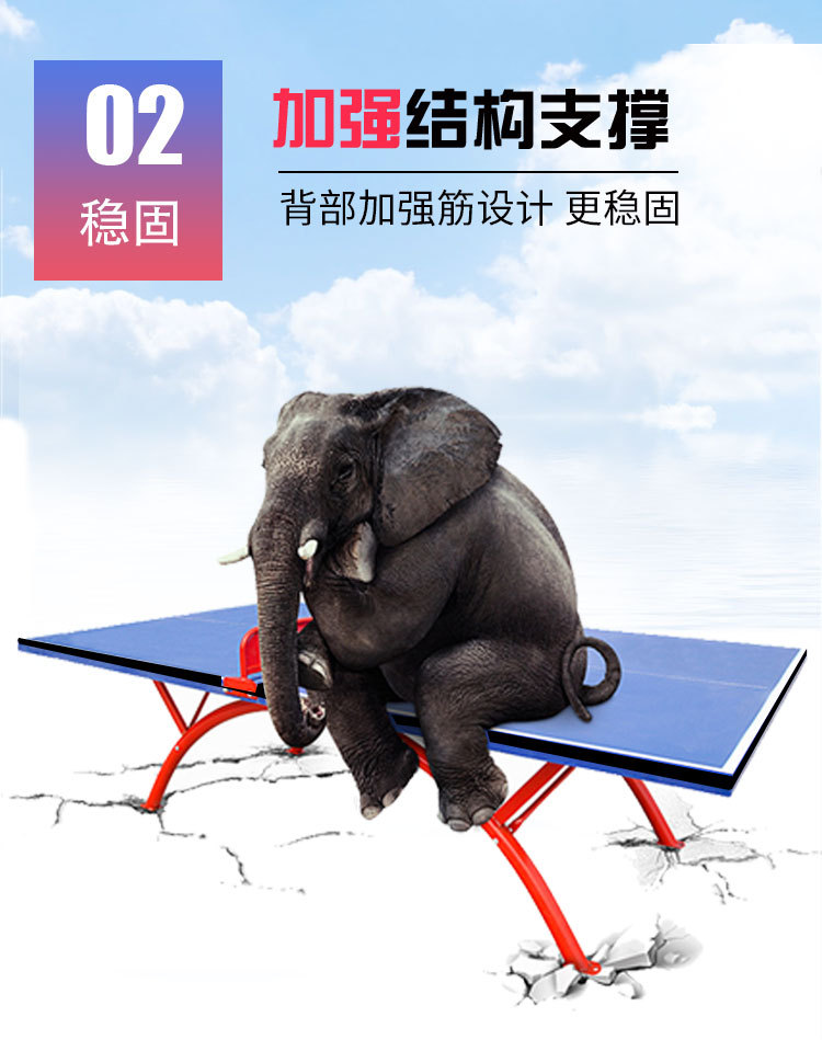 乒乓球台_06