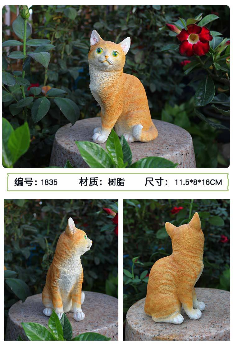 猫咪_15.jpg