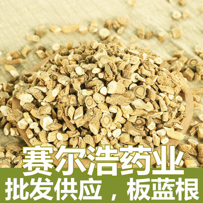 厂家直销 板蓝根 大青根 500克 一手货源量大从优