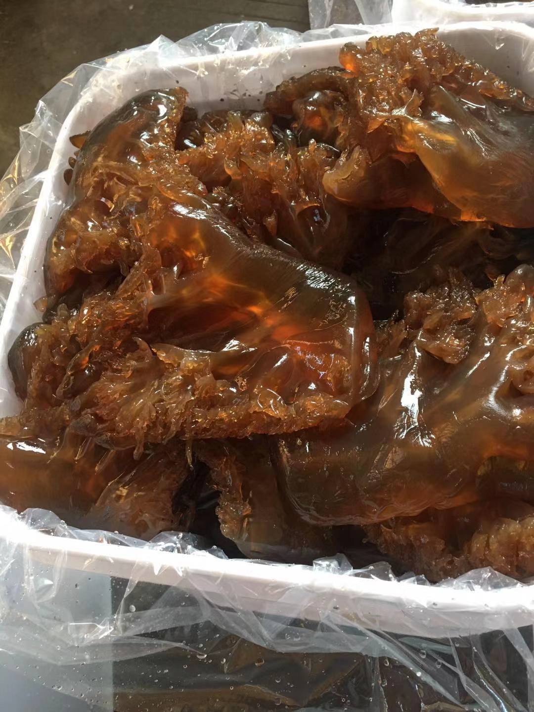 微信图片_201912151640136