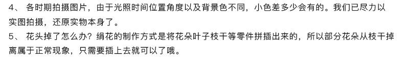 洋牡丹_18.jpg