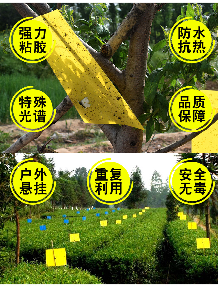 沾虫板源文件_05