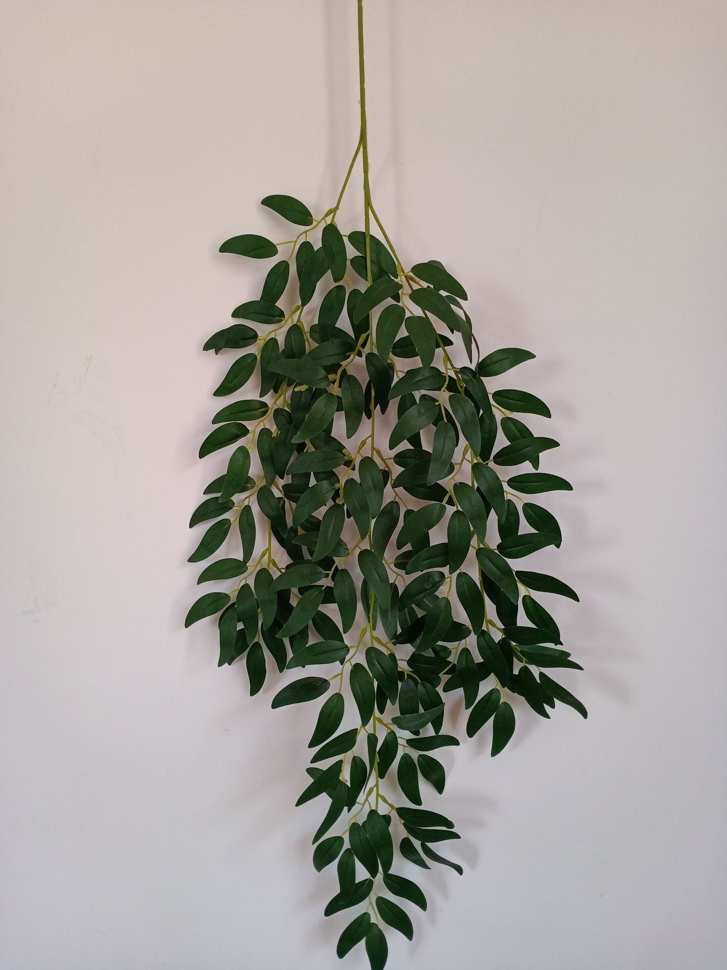 Saved PicturesIMG2020042912533