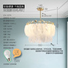 Scandinavian modern and minimalistic lights, creative ceiling lamp, internet celebrity