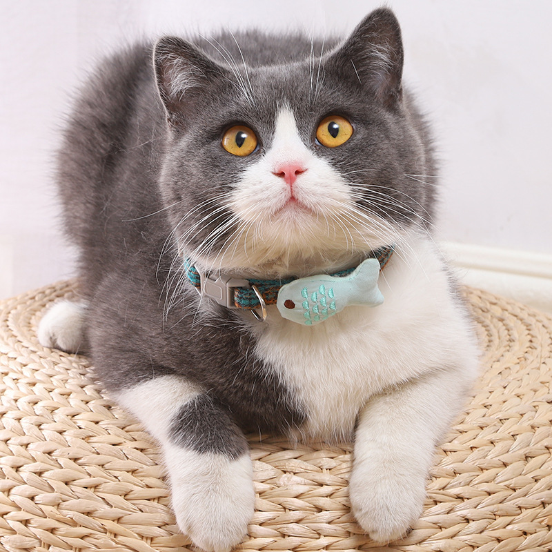 Collar de gato Collar Collar de perro Campana de gato Tejido de gato Collar de cuello de gato Pequeño Collar de decoración de perro Collar de mascota