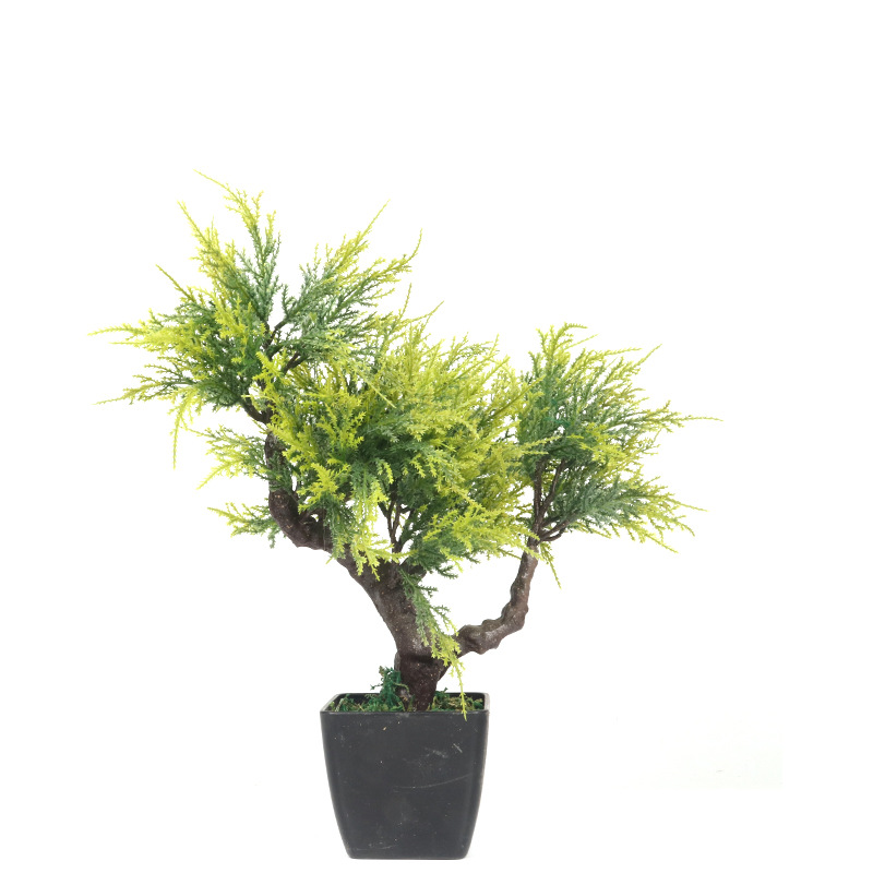 XRS-007 盆栽小柏树叶0.45米1.jpg