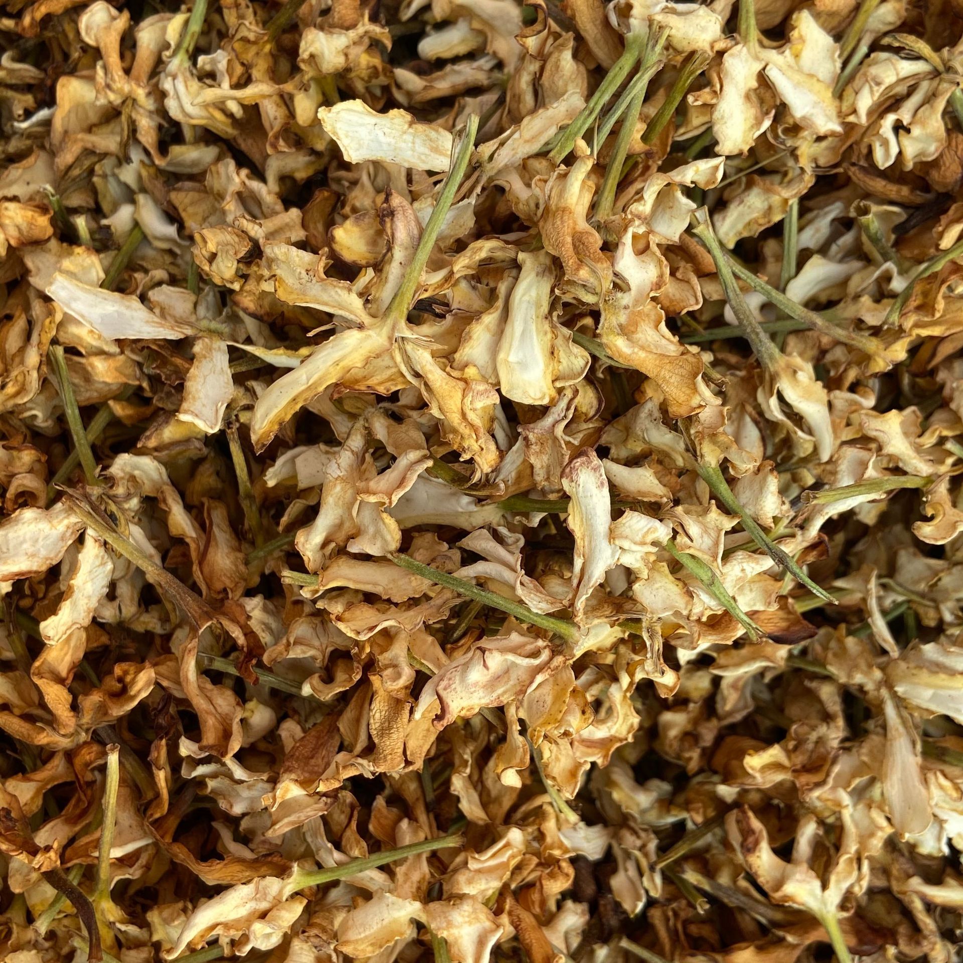 Gardenia Flower Zhi Zi Hua Dried Herbal Tea Ingredient Natural Sun Dried 500g specifications
