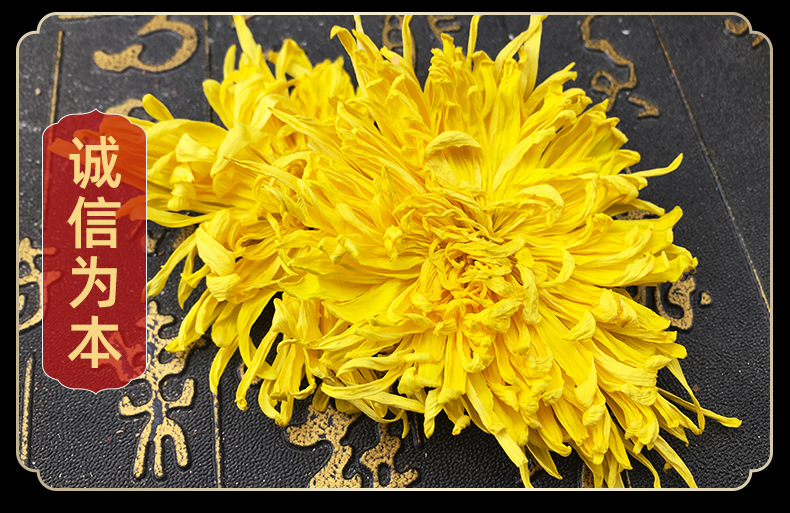 Golden Silk Chrysanthemum Tea Jin Si Huang Ju Whole Flowers 500g Wuyuan Harvest in use