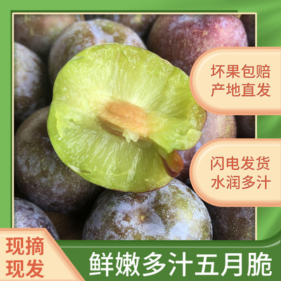 Sichuan Province specialty May Crisp Lee Phoenix Tasty fresh Season fruit Now pick Now send