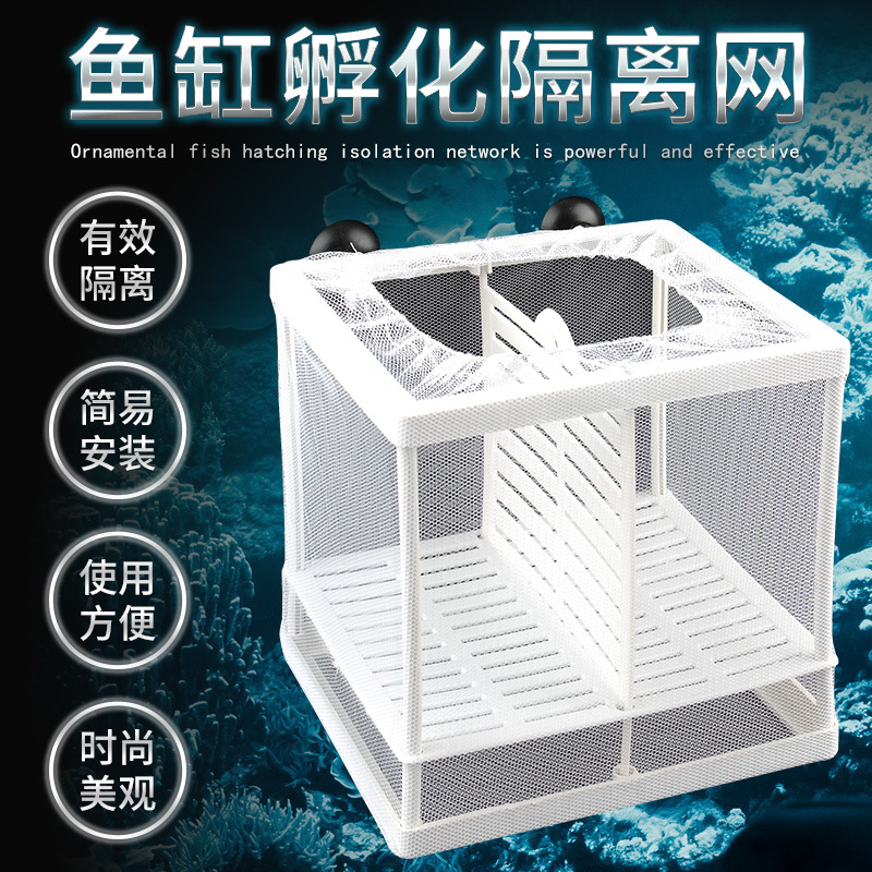 鱼缸隔离网隔离器斗鱼隔离盒网孔雀鱼孵化器繁殖箱孵鱼槽孵化鱼网