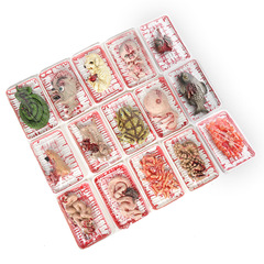 Halloween gift box scary prank props human organ plate haunted house bloody atmosphere decoration animal gift box