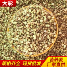 雲南高山蕎麥茶產地直銷一手貨源 苦蕎麥 大麥茶常年大貨供應