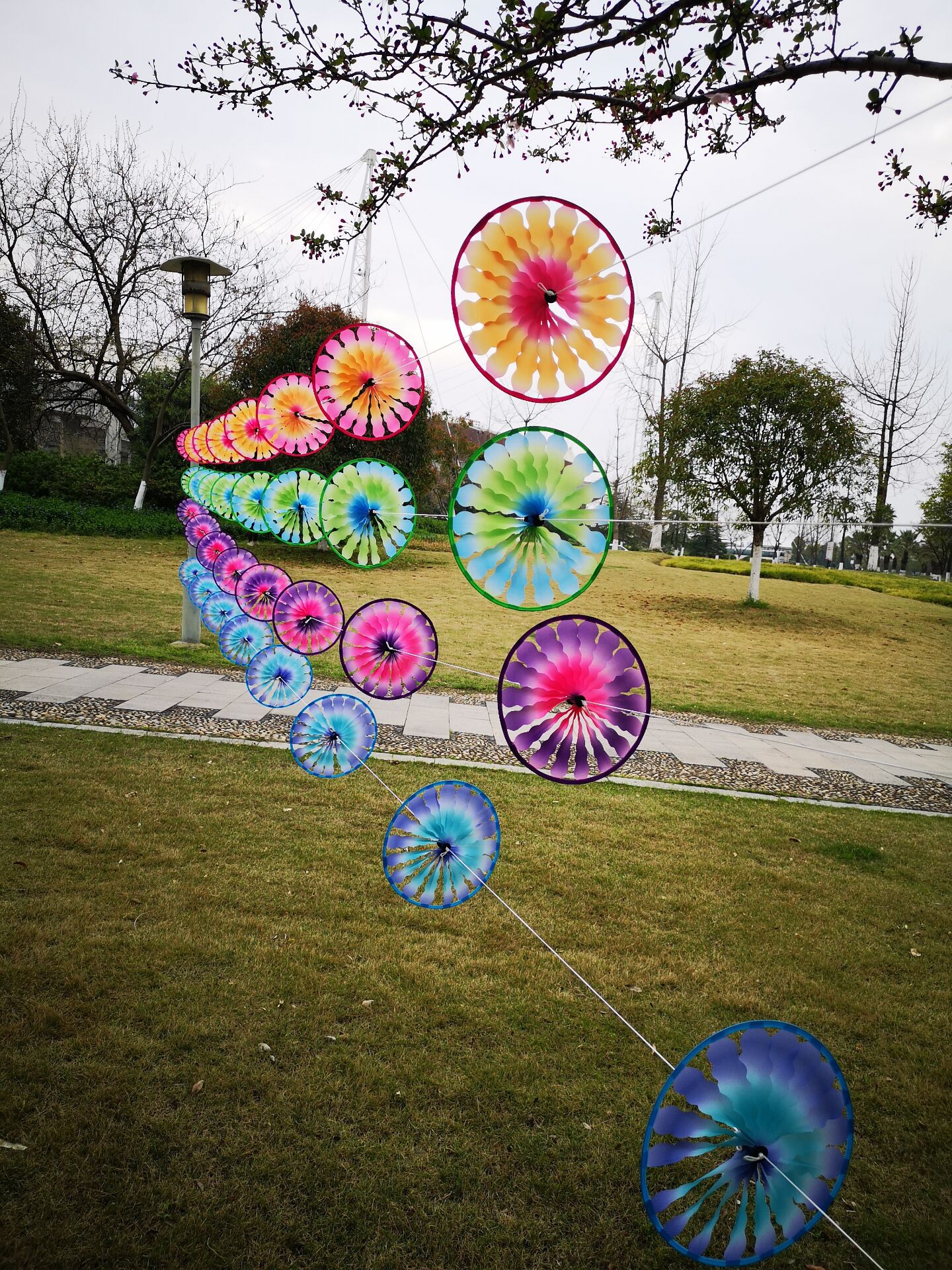 QQ图片20200317105052