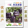 Purple sweet pepper seeds about 50 pieces of purple sweet peppers black lanterns pepper pepper pepper four seasons edible color pepper seeds