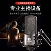 Ten lights 241 Microphone live broadcast Private Network Red Microphones Capacitance Microphone