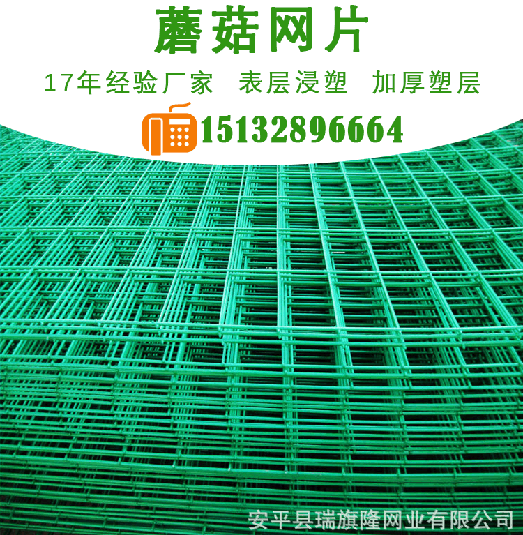 食用菌電焊蘑菇網片廠家批發養殖蘑菇鐵絲網架浸塑網片培養架