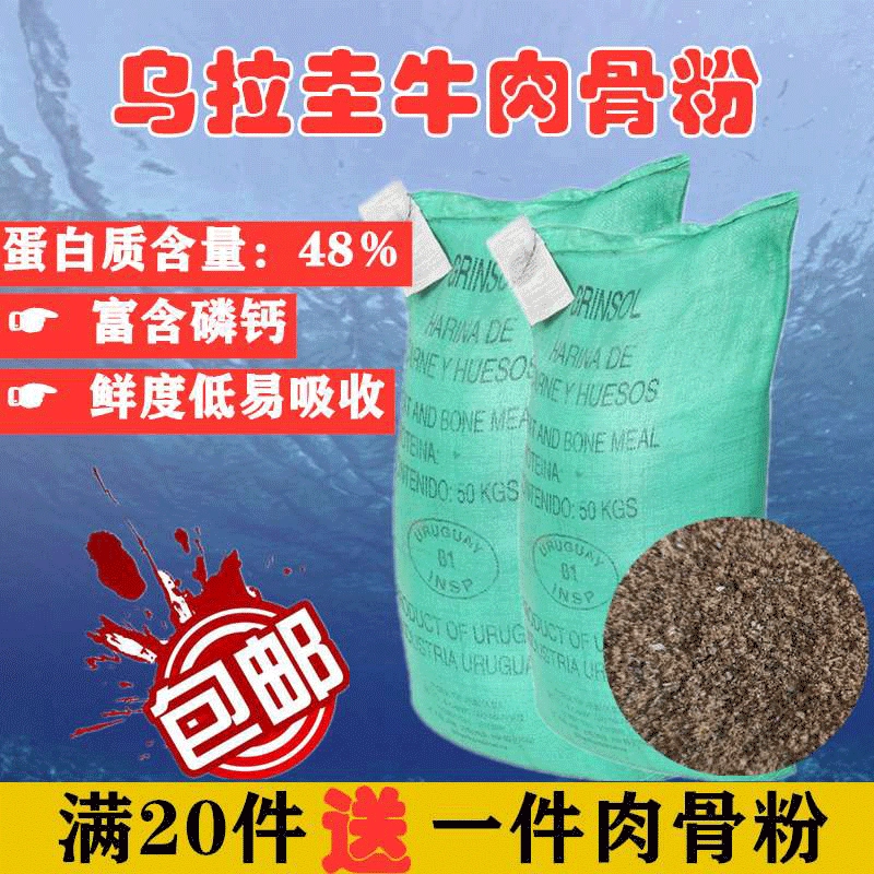 Костная мука из уругвайского говядины, корм для кур, уток, перепелов, птиц, кошек и собак, кальциевая добавка, корм для лис, енотов, корм для водных животных