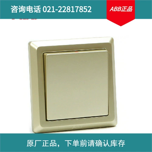 Розетка ABB для выключателей серии Deyi Single Union/One Open Single Control AE101-PG; 10085860