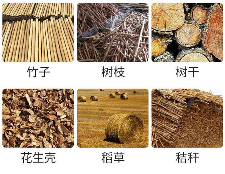 u=3202468005,1381251370&fm