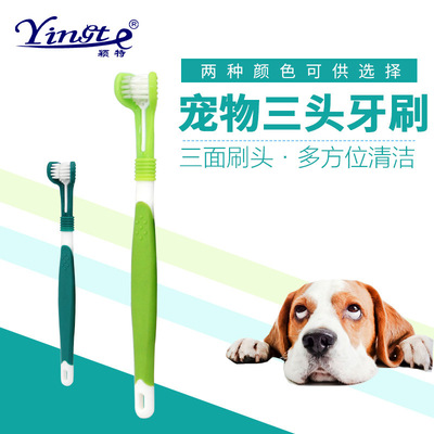 货源宠物用品宠物牙刷狗狗三头牙刷 宠物口腔清洁  大型犬用牙刷批发