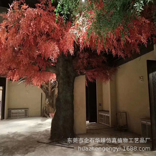 �S��ֱ�N����^�����^С�Գ���ʳ��ˮ�����������ξ��c���͘�