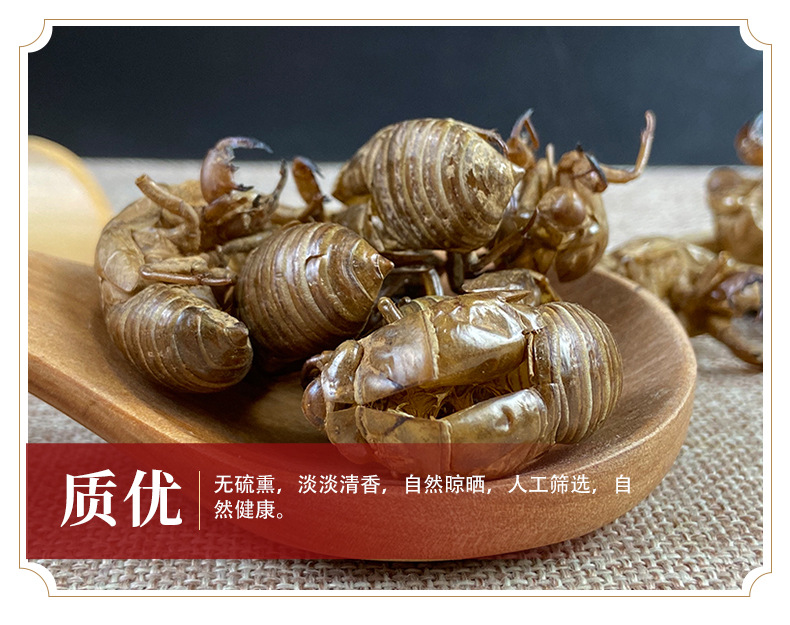 Cicada Slough Chan Tui 蝉蜕 Dried Whole Insect Molt Traditional Chinese Herb 500g Washed specifications