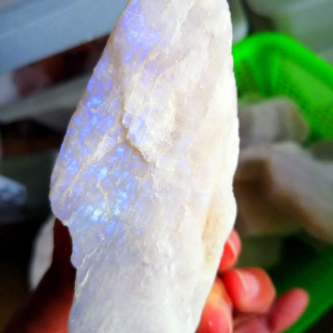 gGqUif2gxdSGFui65Mgf1FmNAeyRArniMeuC