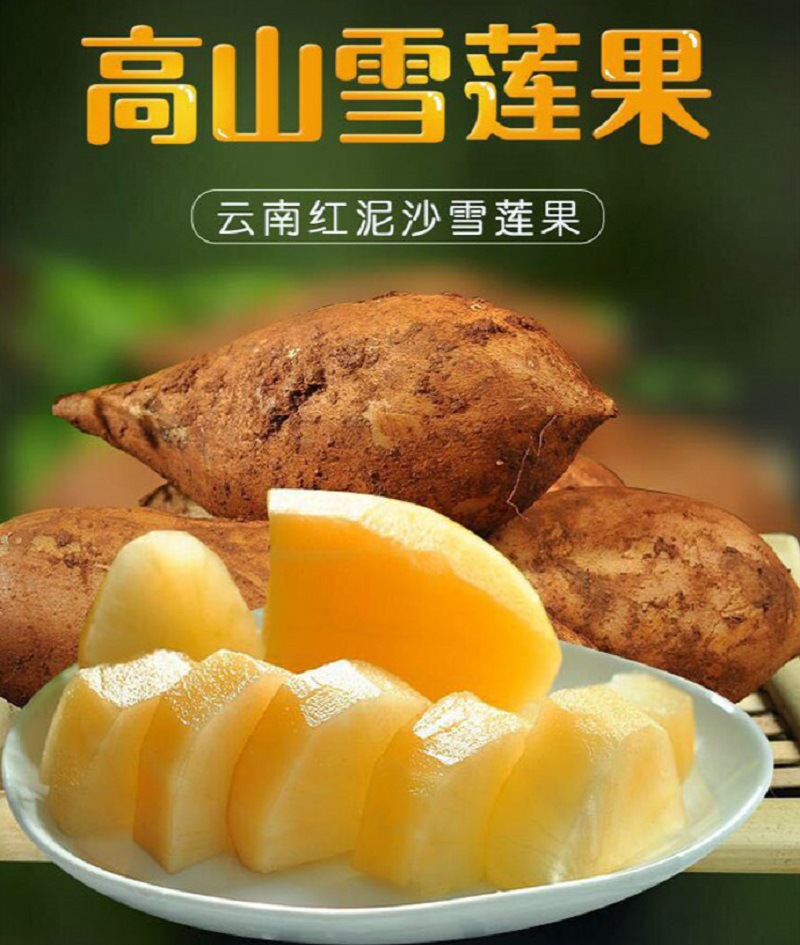 雪莲果5斤9斤装 一件代发 云南高原特产 包邮孕妇水果|ms