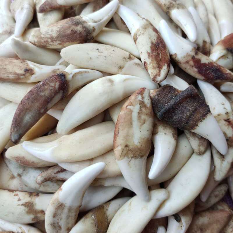 微信图片_20200329000844