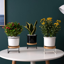 义乌北欧简约S型现代几何多肉圆陶瓷绿植花盆圆竹托铁架套装