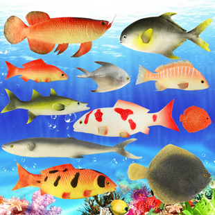 加吉魚圖片- 海量高清加吉魚圖片大全- 阿里巴巴
