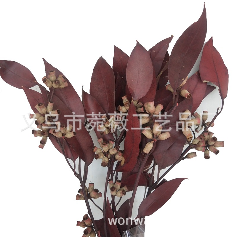 微信图片_20200427131640