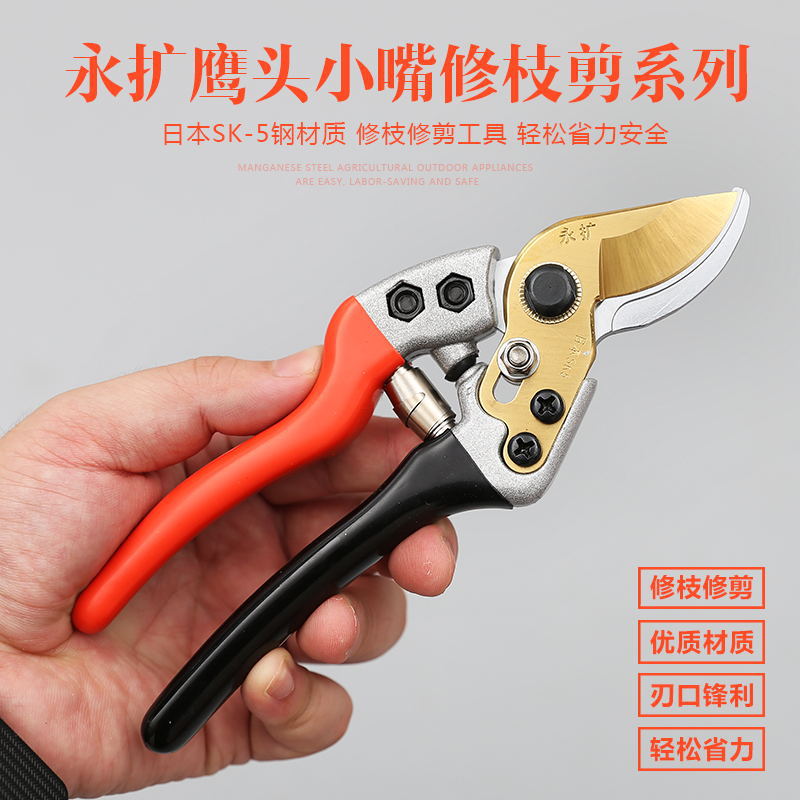 SK5园艺剪刀修树枝剪刀省力剪刀粗枝剪果园林剪树枝盆栽剪SK5剪