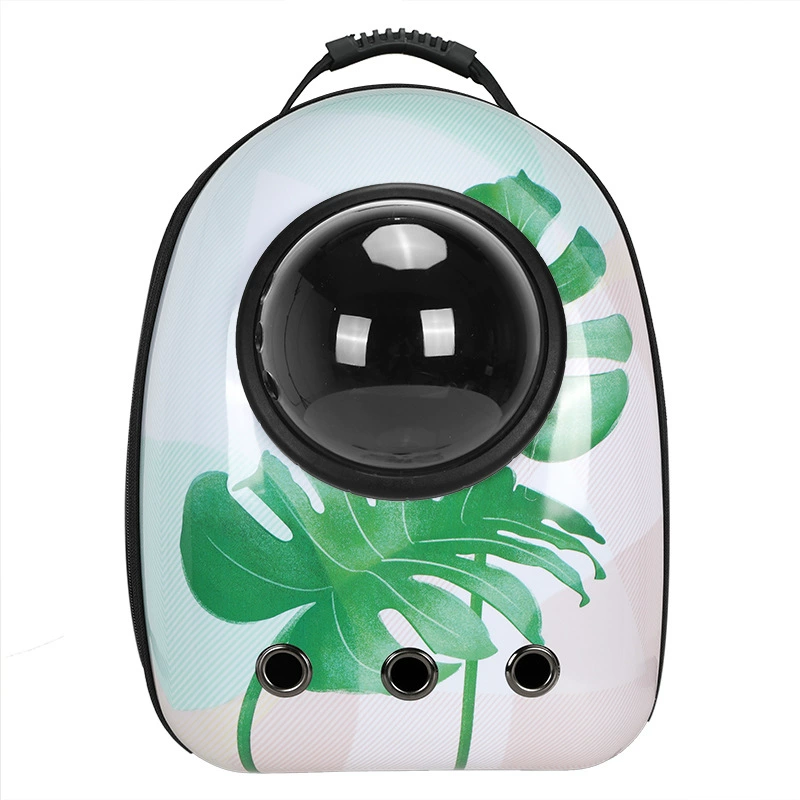 Space handheld breathable travel backpack to go out for leisure