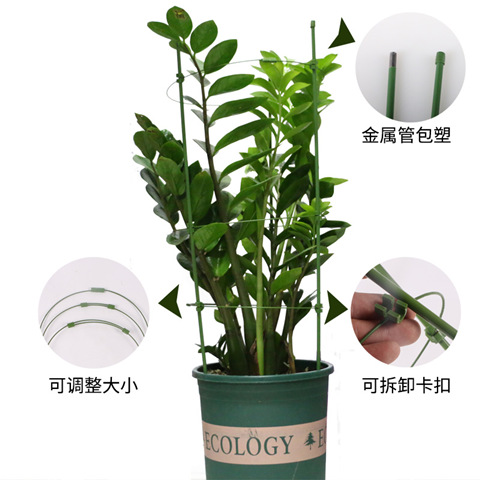 新品园艺支架圆柱爬藤花架阳台绿萝中等藤本简约攀爬铁艺支柱撑蟹