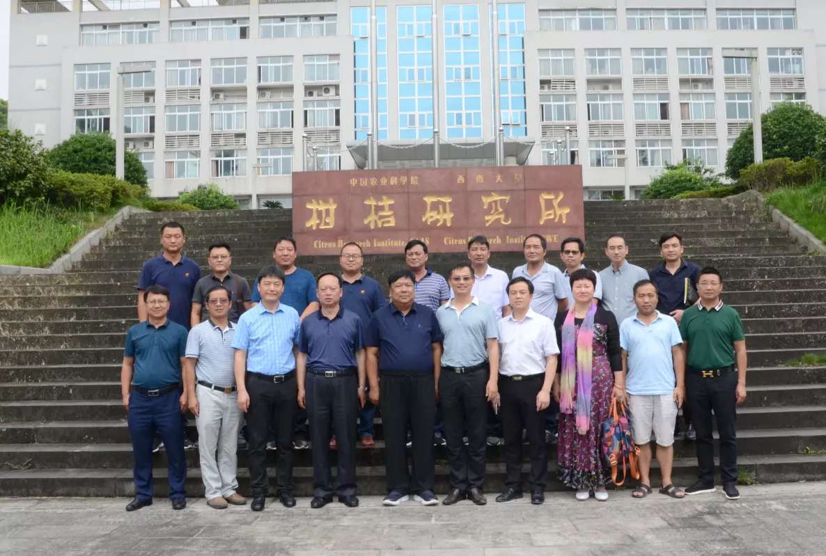 Саженец Золотой Осени 13