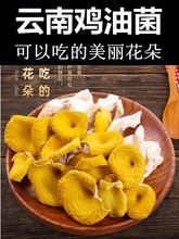 批发鸡油菌 干货榆黄菌黄金菇非  云南土特产蘑菇 口感脆嫩煲汤好