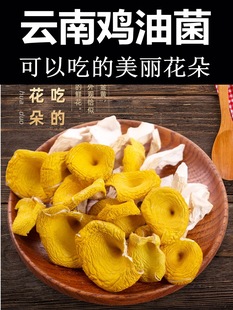 ���l�u�;� ��؛���S���S�𹽷�  ������خaĢ�� �ڸд����Ҝ���