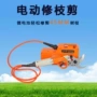 简单电动操作手持式修枝剪