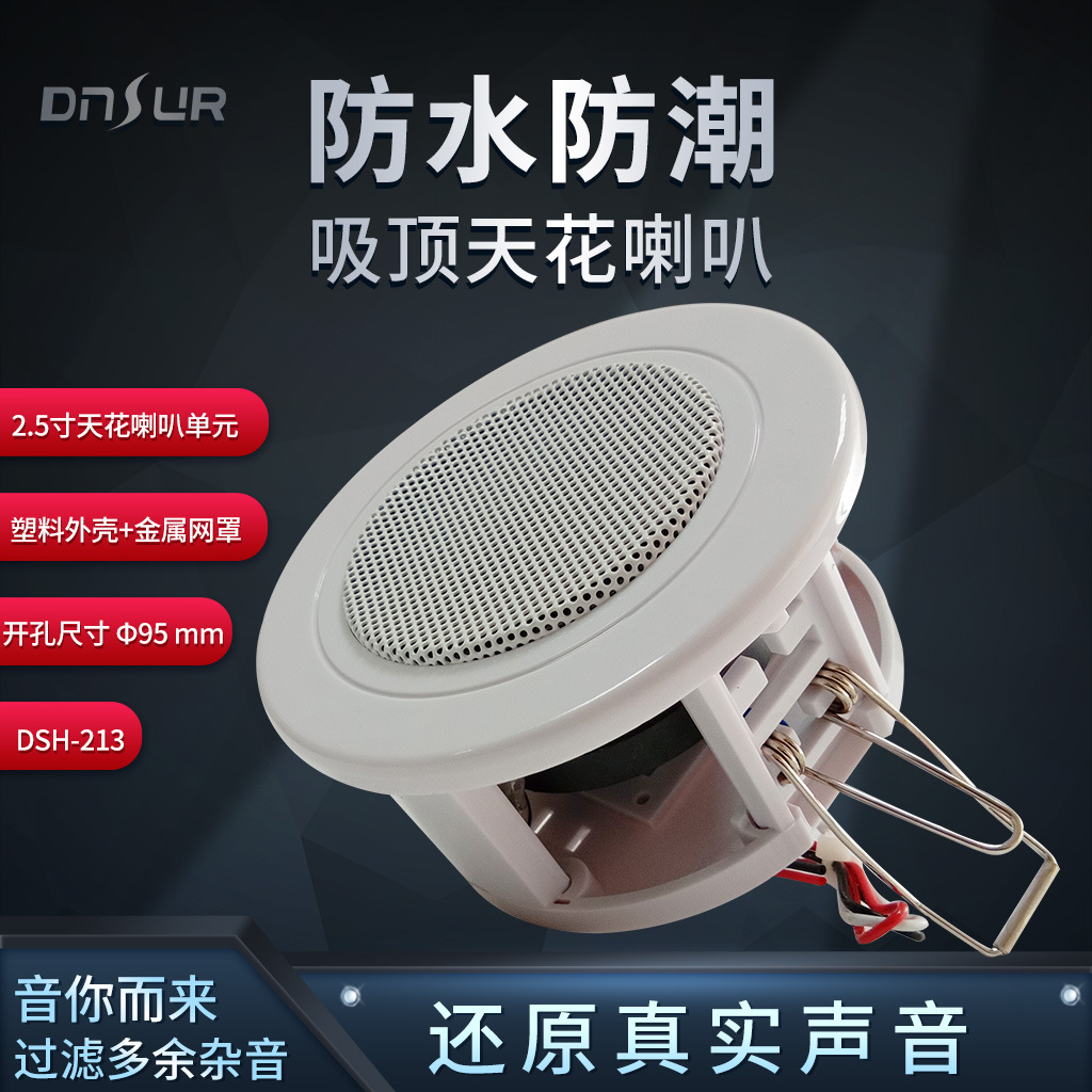 DSH-213广播走廊过道背景音乐定压吊顶音箱2.5寸防潮天花吸顶喇叭