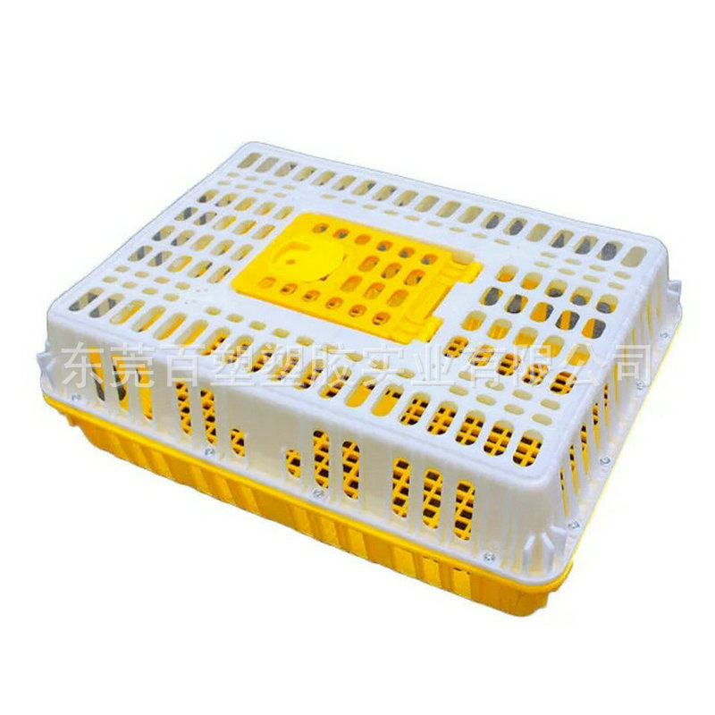 耐压塑料运输鸡笼成鸡肉鸡周转笼子小鸡笼鸽子笼堆码塑胶鸡笼