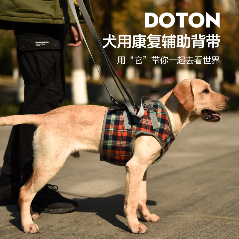 跨境寵物腿部背帶走路支架狗腿護帶后腿殘疾受傷高老齡狗狗輔助帶